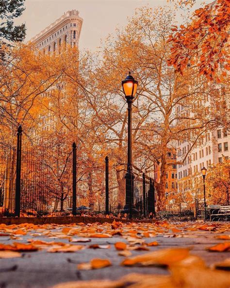 Autumn City Wallpapers - Wallpaper Cave