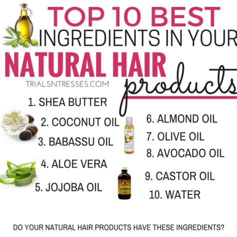 10 Best Ingredients In Your Natural Hair Products - Millennial in Debt