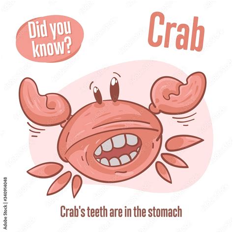 Interesting facts about crab. Did you know? Stock Vector | Adobe Stock