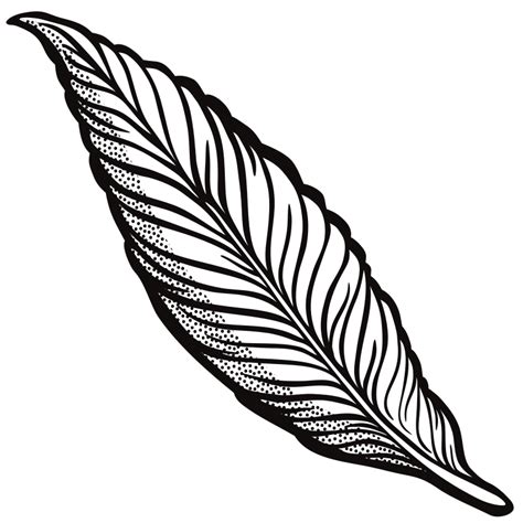 feather - lineart - Openclipart