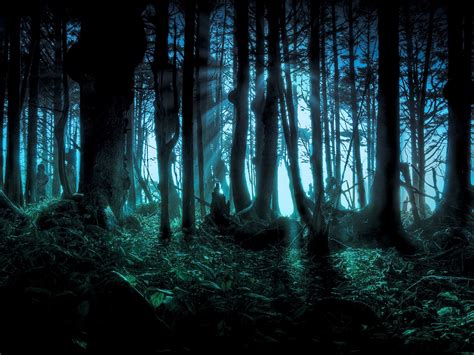 Scary Woods Wallpapers - Wallpaper Cave