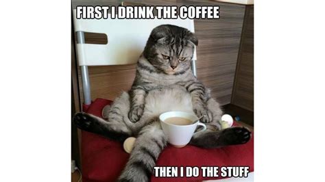 45 Funny Coffee Memes all humor and coffee lovers can not miss