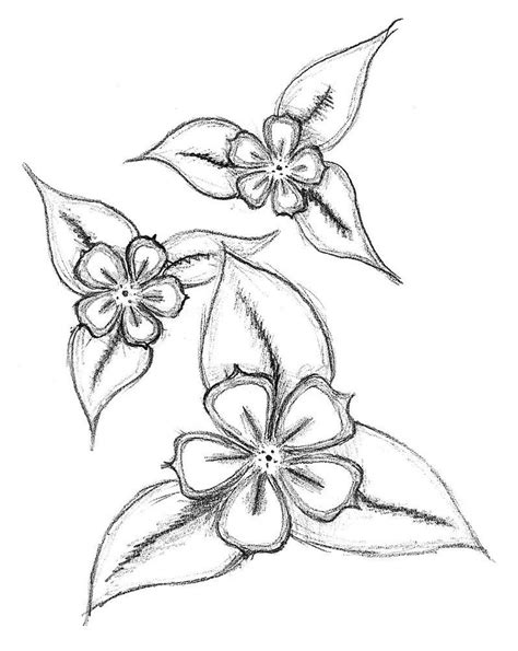 35+ Flower Drawings for Beginners- Step by Step - HARUNMUDAK