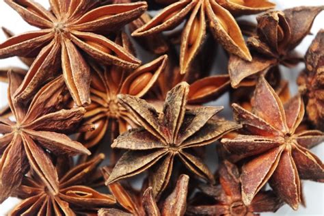 A Complete Guide To Make A Tea Using Star Anise | TeaJoy