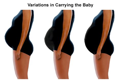 The Third Trimester | Johns Hopkins Medicine