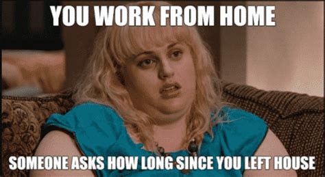 40 WORK FROM HOME MEMES