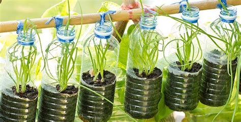 Plastic Bottles: Recycle or Repurpose? - The Permaculture Research ...