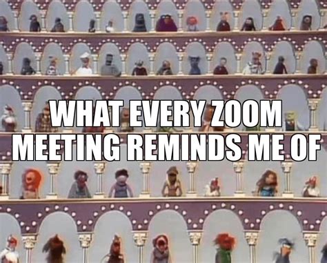 Every Zoom meeting : r/memes