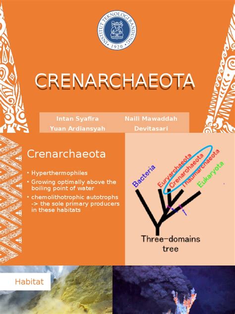 crenarchaeota