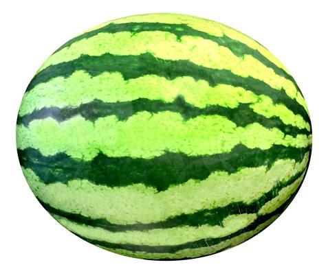 Realistic Easy Watermelon Drawing Drawing is a complex skill impossible ...