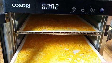 How to Dehydrate Eggs at Home | Make Powdered Eggs in a Food Dehydrator ...