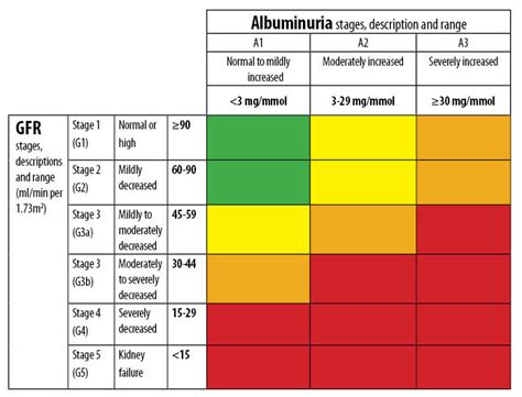 Chronic Kidney Disease Stages