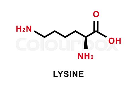 Lysine chemical formula. Lysine chemical molecular structure. Vector ...