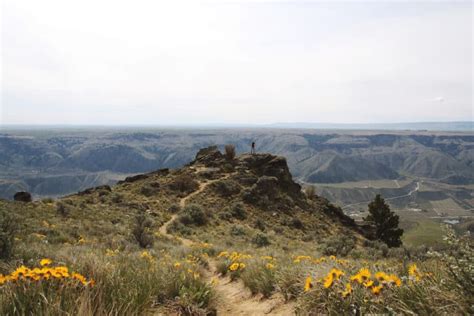 Adventure Awaits: 4 of the Top Lake Chelan Hiking Trails