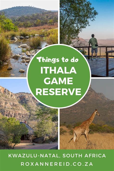 Things to do at Ithala Game Reserve, South Africa in 2020 | South ...