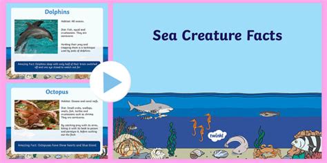 Ocean Animals PowerPoint KS1 - Primary Resources - Twinkl