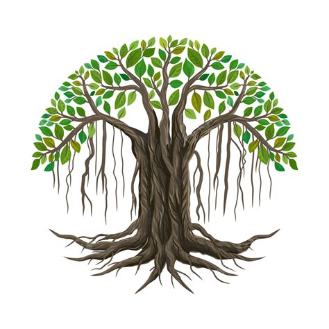 Ancient Banyan Tree And Roots Vector, Banyan Tree, Roots, Tree PNG and ...