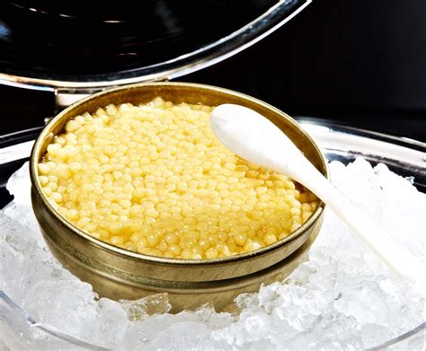 What is the world's most expensive caviar - Travel Tomorrow