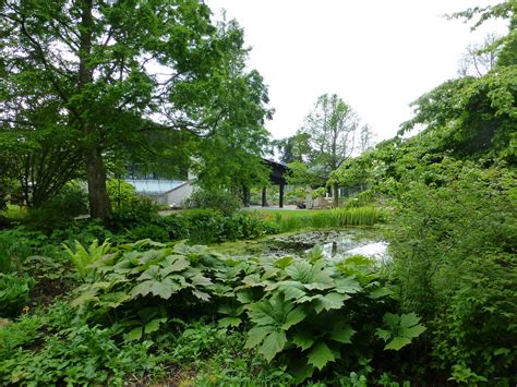 View from back of pond to reception | Dundee Botanic Garden Endowment ...