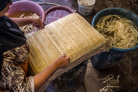 Egypt papyrus makers keep tradition alive despite tourism slump