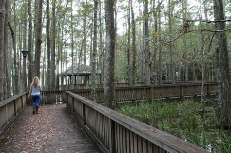 Attractions | Nature trail, Cedar street, Water adventure