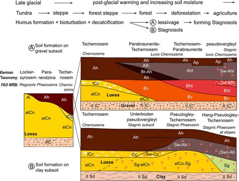 Soil formation on loess sediments (modified after Kuntze et al., 1995 ...