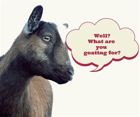 Well? What are you goating for? | Cute goats, Goats, Goat quote