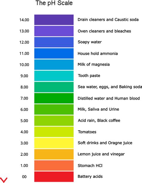 acids and bases ph scale chart 3.12 acids and bases – human biology