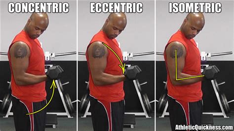 Muscle Contraction Types – Part 1