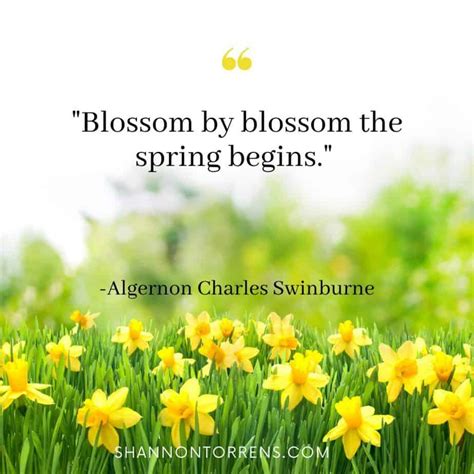 20 March Quotes To Get Ready For Spring - Shannon Torrens