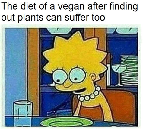 The diet of a vegan after finding out plants can suffer too | Lisa ...