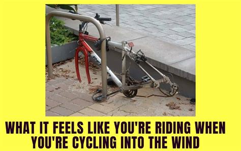 The 22 Best Bike Memes: Funny Cycling Memes That Every Rider Can Relate To