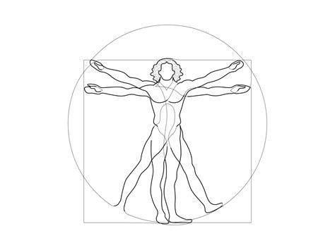 Vitruvian Man by Brão Barbosa on Dribbble