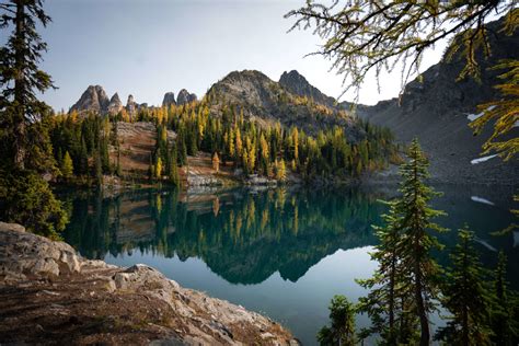 The Best Golden Larch Hiking Trails In Washington State - Jess Wandering