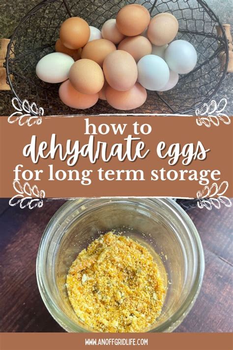 How to Dehydrate Eggs for Long Term Home Storage and Use - An Off Grid Life