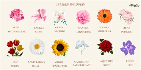 Zodiac Flowers: A Guide To Star Sign Flowers – Bloombar Flowers Taurus ...