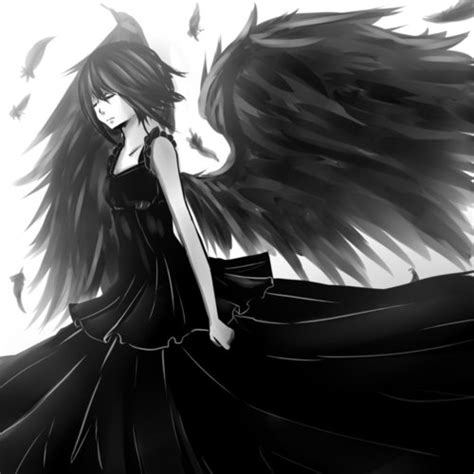 Anime Angel With Black Wings