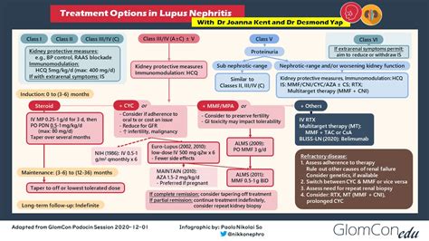 Treatment of Lupus Nephritis: Practical Insights – GlomCon (pubs)