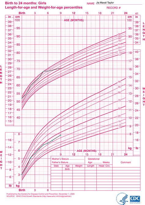 Little Sproutings: Your Child's Growth Charts Explained