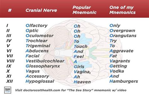 Looking up ways to remember the 12 cranial nerves... google gives me ...