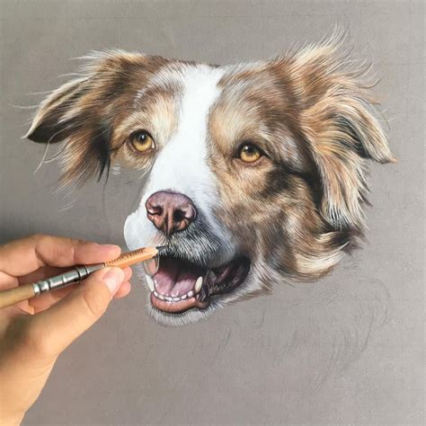 Drawing a dog with colored pencils Colored Pencil Portrait, Colored ...