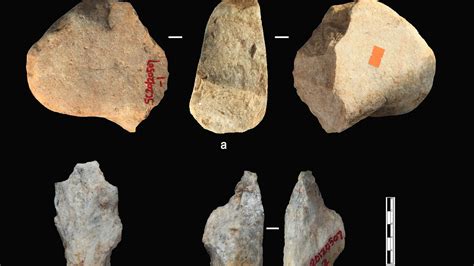 Homo Habilis Tools