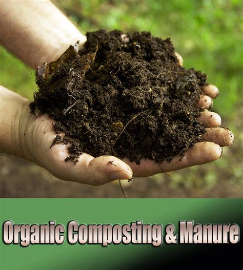 Organic Composting & Manure