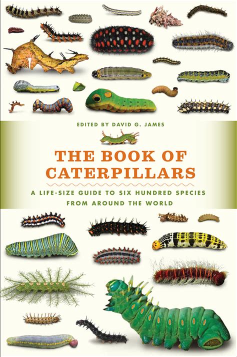 The Book of Caterpillars: A Life-Size Guide to Six Hundred Species from ...