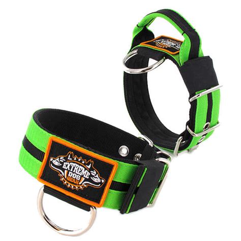 Double Apple Green Custom dog collar | Extreme Dog Gear