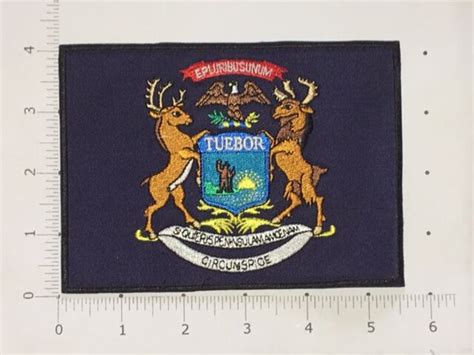 Michigan Flag Patch | eBay