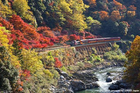 Autumn in Japan is so beautiful! ZEKKEI’s Captivating Fall Foliage ...