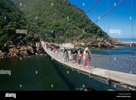 Suspension bridge tsitsikamma south africa hi-res stock photography and ...