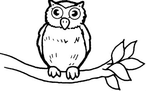 Image result for burung hantu hitam putih | Owl coloring pages, Cute ...