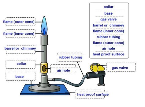 6. Label the given diagram of Bunsen burner with the phrases given ...